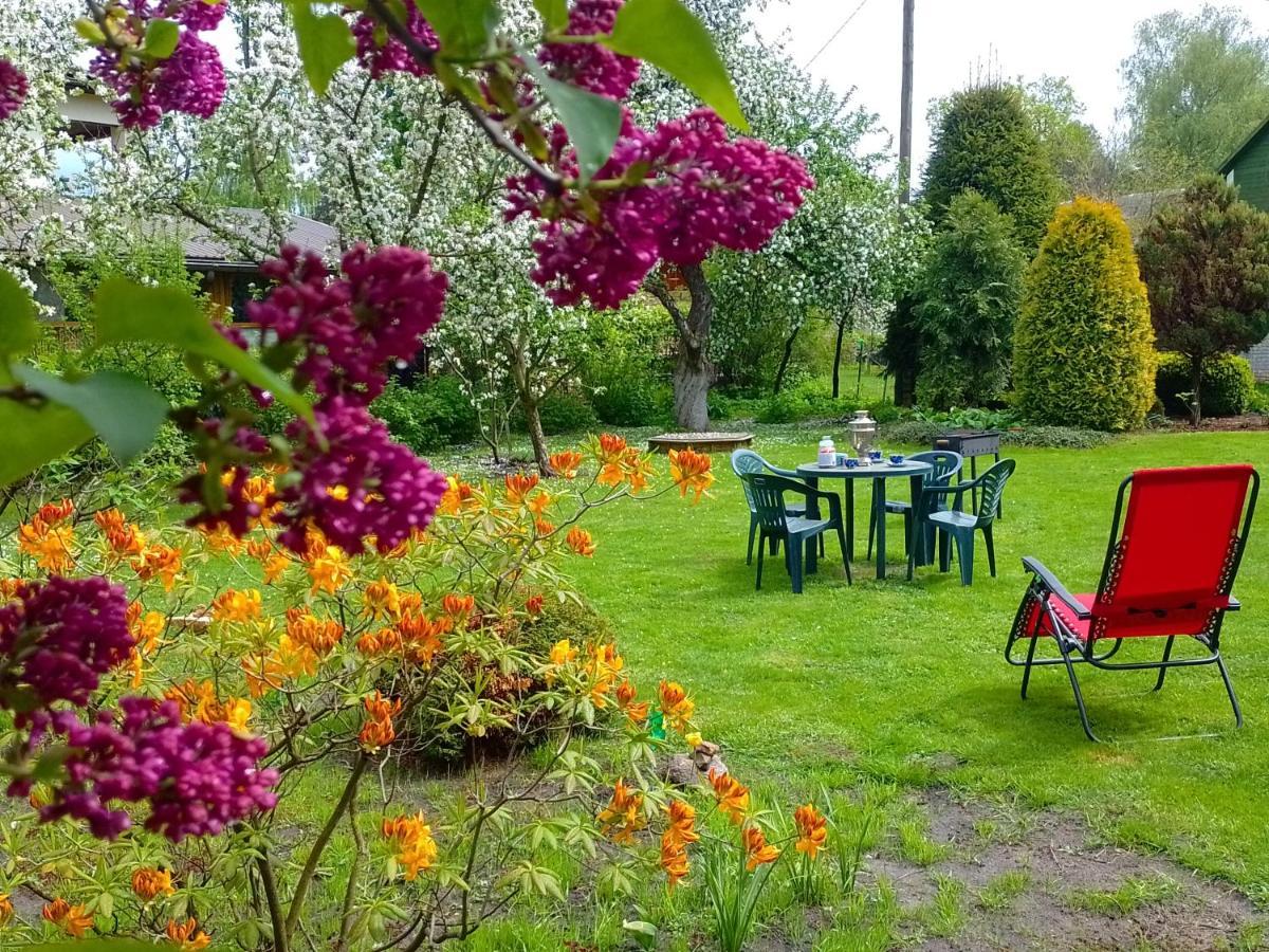 House, Garden & Sauna. Free Parking. Train Stop-200 M. Sea-1 Km. Jūrkalne Kültér fotó