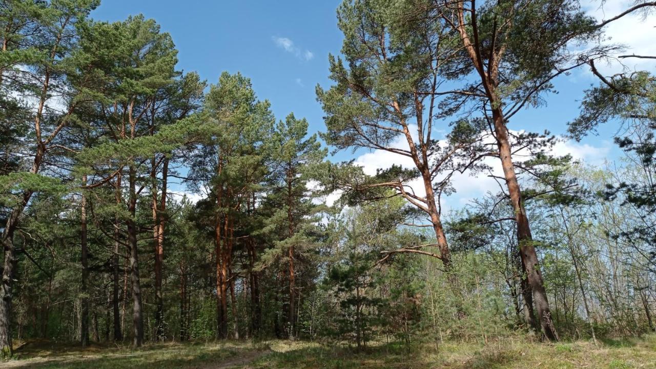 House, Garden & Sauna. Free Parking. Train Stop-200 M. Sea-1 Km. Jūrkalne Kültér fotó
